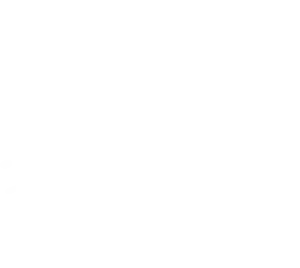 ows-octoskin-wall-system-logo_white